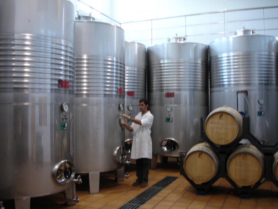 cata de vino en bodega .jpg